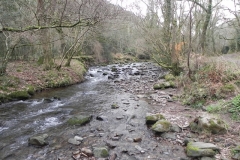 91. Flowing through Horner Wood