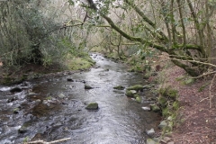 93. Flowing through Horner Wood