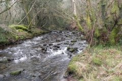 96. Looking upstream from Horner Scout Camp Footbridge