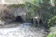 21. Pulhams Mill Bridge Upstream Arches