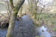 3. Upstream from ROW bridge 2122