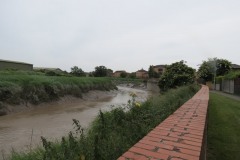 28.-Downstream-from-Bridgwater-Canal-2