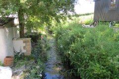 26.-Looking-down-stream-from-Pudliegh-Lane-bridge