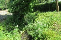 28.-Looking-downstream-from-Pudliegh-Mill-Bridge-ROW-No.1652