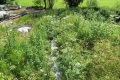 36.-Looking-downstream-from-Pudliegh-Mill-Sluice