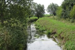 50.-Looking-downstream-from-Frogmore-Rhyne-Footbridge