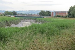 1.-Looking-upstream-to-Drove-Bridge
