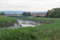 2.-Looking-upstream-to-Drove-Bridge