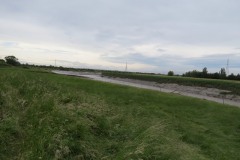3.-Upstream-from-Drove-Bridge-2