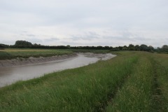 3.-Upstream-from-Drove-Bridge-3