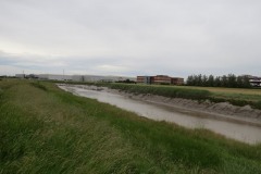 3.-Upstream-from-Drove-Bridge-4