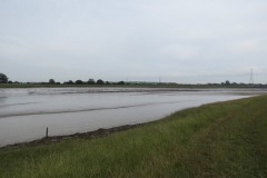 7.-Upstream-from-Dunball-2
