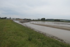 7.-Upstream-from-Dunball-4