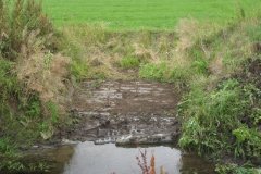 10.-Watering-Hole-Downstream-from-Nine-Acre-2