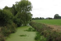 11.-Upstream-View-ROW-Bridge-3763