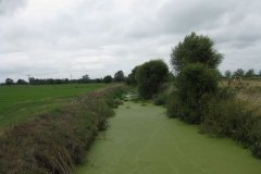 14a.-Downstream-View-ROW-Bridge-3763