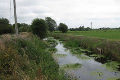 16.-Upstream-River-View-to-the-Willows