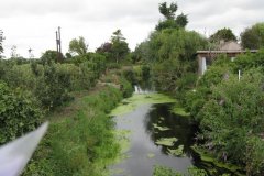 36.-Looking-Downstream-from-Myrtle-Farm-Bridge