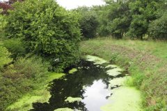45.-Decoy-Rhyne-Start
