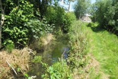 2.-Upstream-from-Pudliegh-Mill-fish-farm