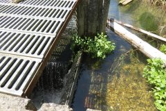 6.-Pudliegh-Mill-fish-farm-upstream-sluice
