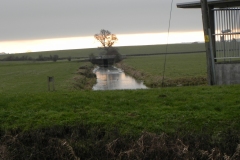 Long-Load-Drain-at-Huish-Episcopi-Pumping-Station