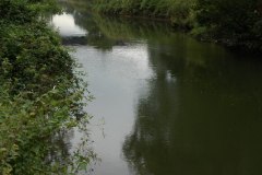 River Avon Bridges