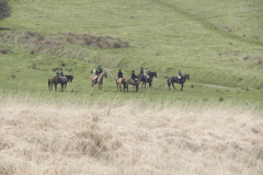 15. Horse Riders near Landacre Bridge