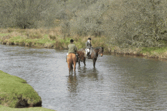 19. Horse Riders in Barle near Landacre Bridge