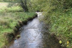 13.-Looking-downstream-from-Combe-Bridge