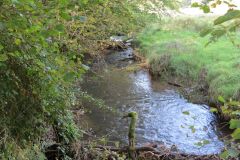 14.-Upstream-from-Church-Bridge-1