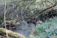14.-Upstream-from-Church-Bridge-6