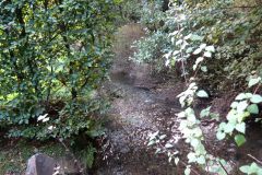 15.-Looking-downstream-from-Church-Bridge