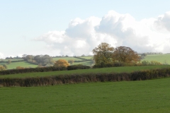 Autumn-Colours-by-River-Cary-on-Cary-Moor-2