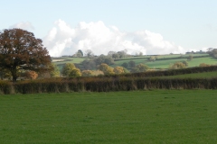 Autumn-Colours-by-River-Cary-on-Cary-Moor-3