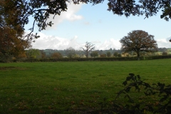 Autumn-Colours-by-River-Cary-on-Cary-Moor-5