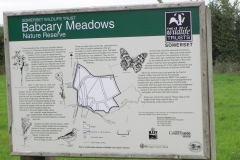 Babcary-Meadoes