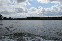 3.-Exe-Estuary-from-boat-25