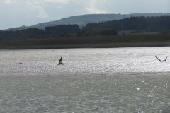 3.-Exe-Estuary-from-boat-36