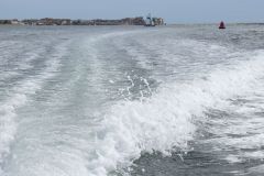 3.-Exe-Estuary-from-boat-8