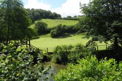 Cricket-by-the-River-Exe-Bridgetown-1
