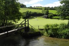 Cricket-by-the-River-Exe-Bridgetown-12