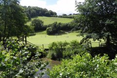 Cricket-by-the-River-Exe-Bridgetown-2