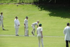 Cricket-by-the-River-Exe-Bridgetown-8
