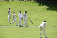 Cricket-by-the-River-Exe-Bridgetown-9