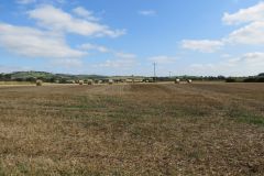 5.-Hay-bales-near-Thorverton-1