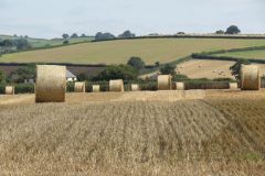 5.-Hay-bales-near-Thorverton-2