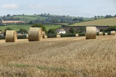 5.-Hay-bales-near-Thorverton-3