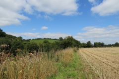 5.-Hay-bales-near-Thorverton-4