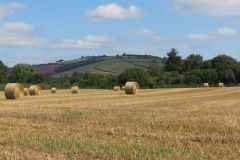 5.-Hay-bales-near-Thorverton-5